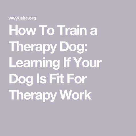 How To Train a Therapy Dog: Learning If Your Dog Is Fit For Therapy Work Working Dog Breeds, Therapy Dog Training, Loose Leash Walking, Working Dogs Breeds, Dog Training School, Dog Organization, School Goals, Therapy Dog, Working Dog