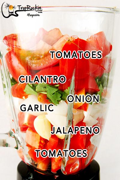 Homemade Salsa In Blender, Homemade Salsa Ninja Blender, Best Salsa Recipe With Fresh Tomatoes, Make Salsa From Fresh Tomatoes, Easy Salsa Recipe Fresh Tomatoes, Ninja Blender Salsa Recipe, Best Salsa Recipe Ever Fresh Tomatoes, Homemade Salsa With Garden Tomatoes, Easy Salsa With Fresh Tomatoes