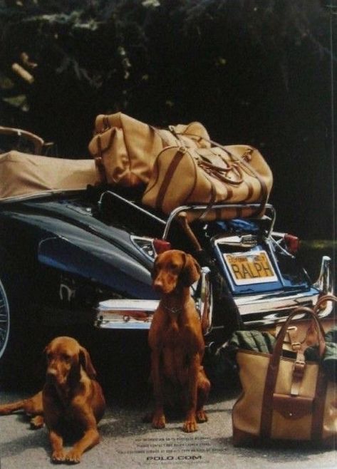 Ralph Lauren Photography, Ralph Lauren Vintage Ads, Vintage Ralph Lauren Aesthetic, Old Money Dog, Ralph Lauren Ad Campaigns, Vintage Ralph Lauren Ads, Ralph Lauren Ad, Ralph Lauren Ads, Ralph Lauren Aesthetic