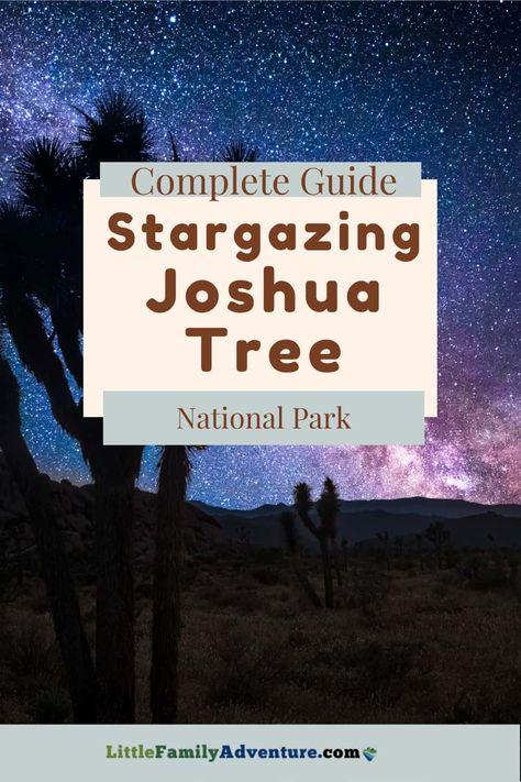 Joshua Tree Stargazing, Joshua Tree Night Sky, Joshua Tree At Night, Joshua Tree National Park Photography, A Night Under The Stars, Mt Whitney, New Moon Phase, Night Time Photography, Night Under The Stars