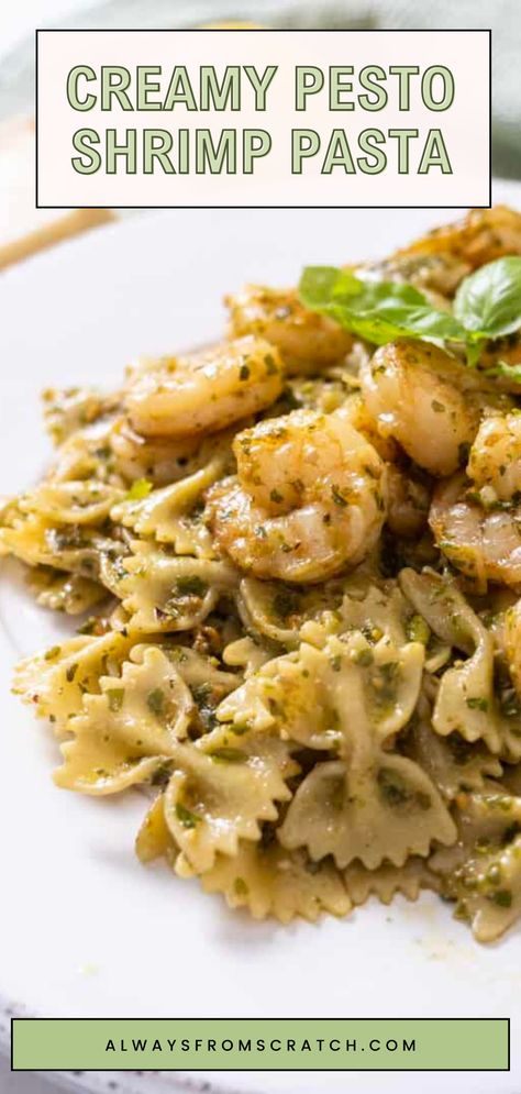 Dive into a bowl of pure deliciousness with this Creamy Pesto Shrimp Pasta! Perfect for busy weeknights, this easy shrimp pasta dish comes together in under 30 minutes, making it a go-to for your dinner rotation. The rich, creamy sauce perfectly complements the tender shrimp, creating a mouthwatering flavor that everyone will love. Whether you're cooking for family or entertaining guests, this pesto shrimp recipe is sure to impress. Don't miss out—your taste buds are in for a treat! Pesto And Shrimp Pasta, Shrimp Pesto Orzo, Easy Shrimp Dinner Recipes For Family, Shrimp And Burrata, Shrimp Pesto Recipes, Creamy Pesto Shrimp Pasta, Best Shrimp Pasta Recipe, Light Shrimp Pasta Recipes, Shrimp Pesto Pasta Recipes