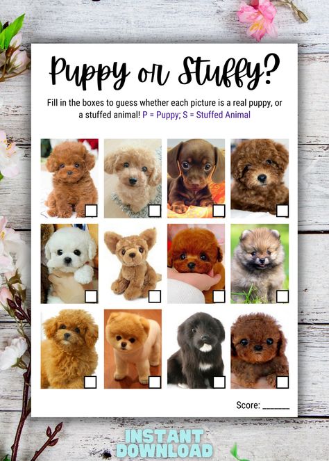 Puppy or Stuffy Game, Printable Party Game, Puppy Shower Game, https://etsy.me/3ZstEjS #babyshowergame #printablepartygame #printable #puppyshower #puppyshowergame Puppy Shower Party Games, Puppy Shower Games, Puppy Love Bridal Shower Theme, Dog Themed Baby Shower Ideas, Puppy Shower Ideas, Puppy Shower Party, Puppy Baby Shower Theme, Dog Baby Shower Theme, Puppy Party Games