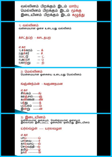 Tamil Grammar, Car Drawing Pencil, Test Paper, Basic Grammar, Car Drawing, Grammar Book, Baby Monster, Drawing Pencil, Year 2