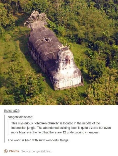 Chicken church Image Meme, The More You Know, History Facts, Hetalia, Tumblr Funny, In The Middle, Cool Places To Visit, The Middle, Places To Travel