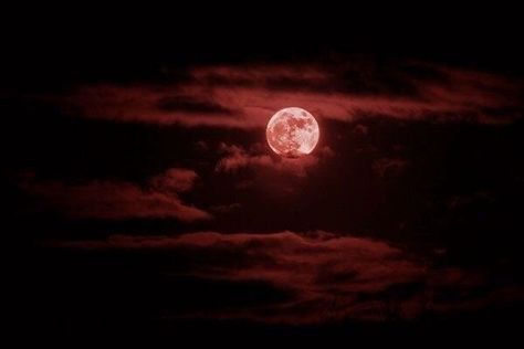 Red Aesthetic Horizontal, Vampire Aesthetic, Vampire Goth, Gothic Vampire, Gothic Aesthetic, Red Moon, The Full Moon, Blood Moon, Fantasy Aesthetic