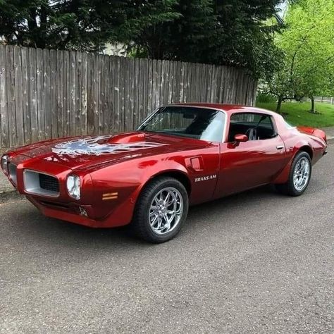 Pontiac Firebird Formula, Firebird Formula, Old Muscle Cars, Hot Rods Cars Muscle, First Cars, Pontiac Firebird Trans Am, Pontiac Cars, Chevy Muscle Cars, Classic Cars Trucks Hot Rods