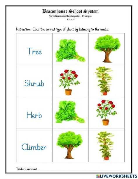 Types Of Plants Worksheet, Trees Name In English, How Plants Grow, Plants Worksheets, Planting For Kids, Plant Activities, 2nd Grade Worksheets, Class Decor, Planting Shrubs