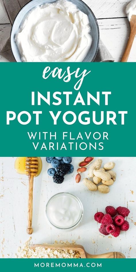 Yoplait Yogurt Recipes, Instant Pot Yogurt Recipe, Homemade Yogurt Recipes, Goat Milk Recipes, Instant Pot Yogurt, Homemade Greek Yogurt, Instant Pot Cookbook, Yogurt Recipe, Honey Yogurt