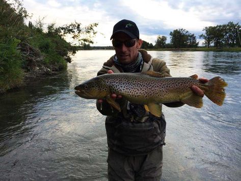 Podcast: The Seven Deadly Sins of Streamer Fishing, with Josh Nugent - Orvis News Steelhead Fishing, Orvis Fly Fishing, Fishing For Beginners, Bass Fishing Tips, Fly Fishing Gear, Walleye Fishing, Brown Trout, Fishing Guide, Fishing Women