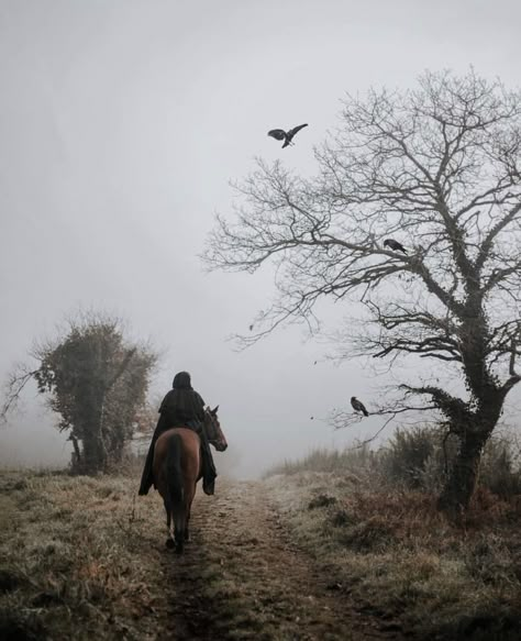 Breath Of Life, Medieval Aesthetic, Yennefer Of Vengerberg, My Fantasy World, Fantasy Story, Fantasy Aesthetic, Fantasy Inspiration, Story Inspiration, Foto Inspiration