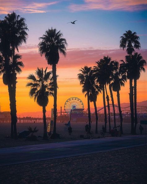 La Life, Beach Santa, Santa Monica Beach, Santa Monica Pier, Santa Monica California, Pretty Landscapes, Sun Art, Amazing Pics, California Beach