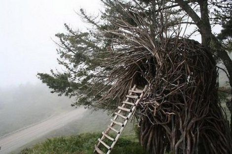 Jayson-Fann-Spirit-Nests-3 Human Nest, Flying The Nest, Tree Fort, Wire Sculptures, Areas Verdes, Casas Coloniales, Green Architecture, Animal Habitats, Topiaries