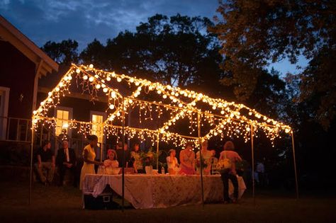 string lights on a tarp frame Tent Frame With Lights, Party Tent Ideas, Backyard Party Tent, Yard Picnic, Wedding Buffets, Wedding Buffet Table, Tent Ideas, Backyard Tent, Wedding Tents