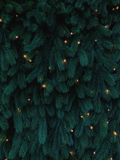 Kalėdos Green Christmas Wallpaper Aesthetic, Green Christmas Wallpaper, Christmas Tree Wallpaper Iphone, Christmas Wallpaper Aesthetic, Tree Wallpaper Iphone, Wallpaper Natal, Christmas Tree Wallpaper, Iphone Wallpaper Winter, Iphone Arkaplanları