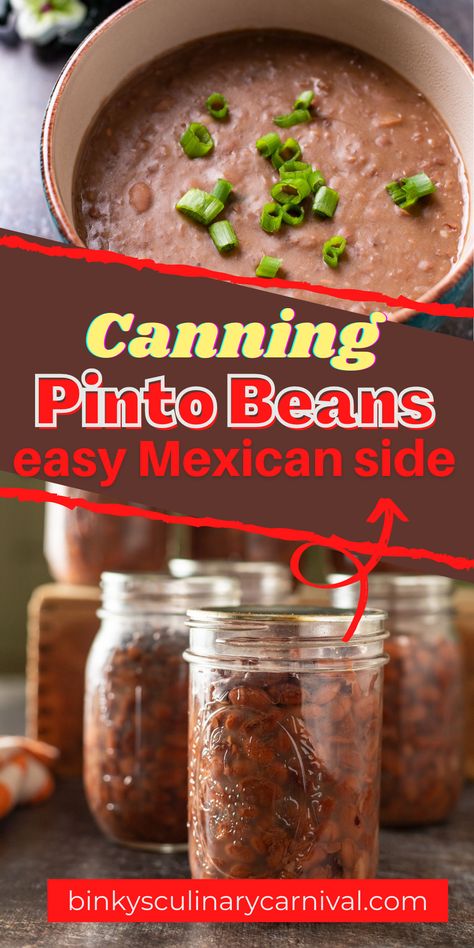 pinto beans in bowl