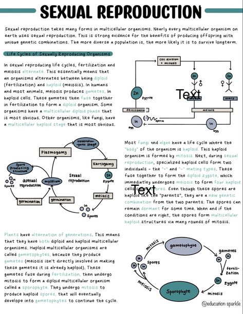 Plant Cell Notes, Reproduction Notes, Cell Notes, Cell Worksheets, Reproduction In Plants, Cell Biology Notes, Notes Biology, Study Science, Cells Worksheet