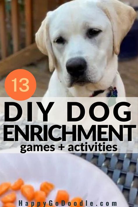 Labrador Retriever dog's happy face and the title DOG DIY Enrichment games & activities Inside Dog Activities, Puppy Boredom Busters Diy, Puppy Boredom Busters, Homemade Brain Games For Dogs, Diy Dog Exercise Equipment, Puppy Toys Diy Brain Games, Activities For Puppies, Dog Entertainment Ideas Diy, Diy Boredom Busters For Dogs