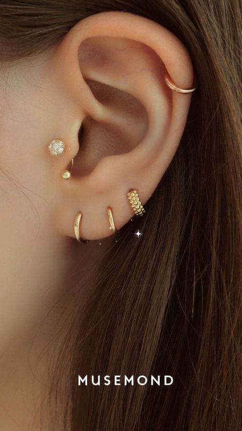 Dainty Piercings, Peicing Ideas, Piercing Jewelry Ideas, Unique Piercing, Tragus Piercing Earrings, Earrings Piercings, Ear Piercings Industrial, Minimalist Ear Piercings, Unique Ear Piercings