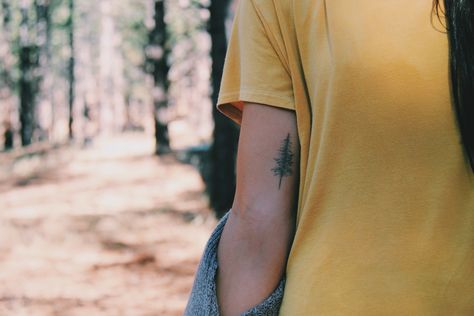 Pine tree inner arm tattoo                                                                                                                                                                                 More Back Of Arm Tree Tattoo, Pine Tree Tattoo Placement, Tree Tattoo Back Of Arm, Fine Line Tree Tattoo, Tree Tattoo Arm, Inner Arm Tattoos, Arm Tats, Inner Arm Tattoo, Pine Tree Tattoo