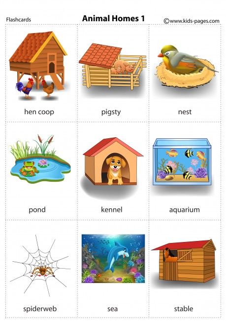 Animal Homes 1 flashcard Animals House Preschool, Homes Of Animals, Animal Habitats Preschool, Animals And Their Homes, Animal Homes, Animals Name In English, Materi Bahasa Inggris, Animal Activities For Kids, House Printable