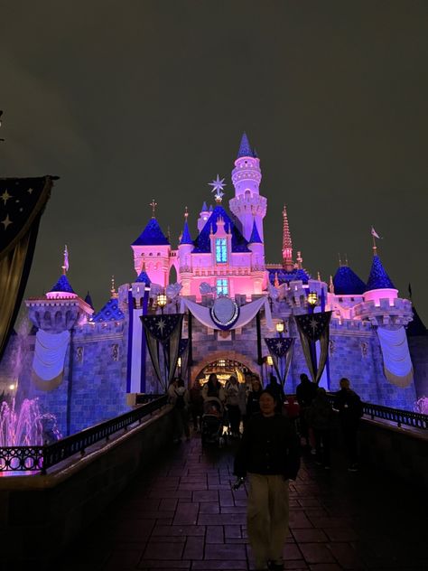 Fantasy Land Disneyland, Disneyland Los Angeles, Disney Core, Disneyland Fireworks, Fall Disney, Park Pics, Disneyland Aesthetic, Disney World Castle, Disneyland World