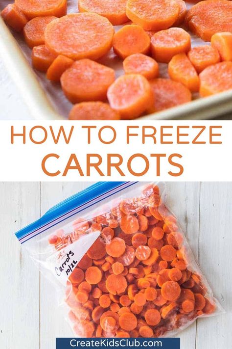 Wondering how to freeze carrots? Below you’ll learn how to blanch carrots which includes boiling for a short time then placing them in an ice bath prior to freezing. Frozen carrots can be roasted, boiled, or sauteed for a quick and simple side dish. Frozen carrots can also be incorporated into a family favorite recipe. From spring to summer, fall to winter, you can add nutrients and color to any dish by keeping carrots in the freezer. How To Freeze Carrots, Freezing Carrots, Frozen Carrots, How To Store Carrots, Fresh Carrots, Raw Carrots, Chicken Health, Ice Bath, Cooked Carrots