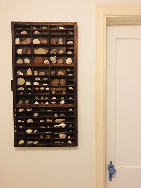 Collectable Shelf Display, Rock Display Shelves, Display Stones Rock Collection, Display For Small Items, Rock Wall Display, Archeology Home Decor, Wall Collection Display, Displaying Rock Collection, Diy Collection Display