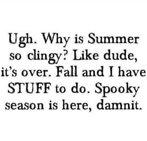 There…I said it…I’m over the heat and humidity 🥵 of summer and ready for Fall 🍁🍂🎃👻 Fall Weather Quotes, Pumpkin Song, Hoodie Weather, Spooky Memes, Fall Humor, Season Quotes, Halloween Memes, Autumn Quotes, Happy Fall Y'all