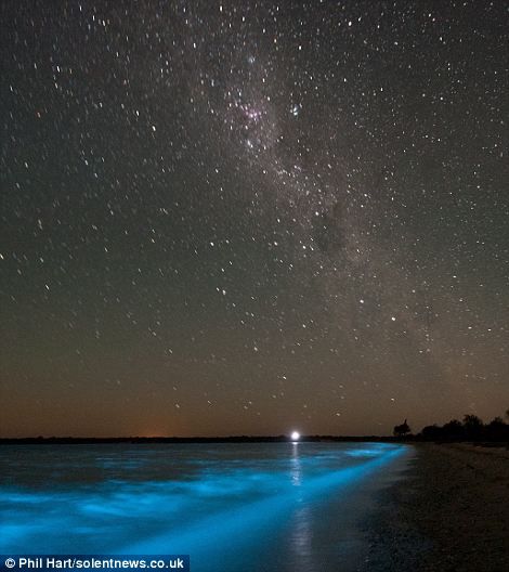 Phil Hart/ solSolent News & Photo Agency Dark Beach, Goodnight Moon, Dark Art Photography, Travel Spots, Stars At Night, Future Travel, Natural Phenomena, Alam Yang Indah, Swimmers