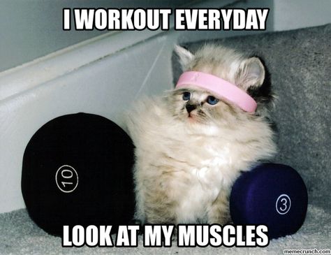 31 Workout and Exercise Memes memes fitness workout exercise workout memes exercise memes fitness memes House Of Pain, Dog Mess, Fitness Memes, Workout Memes, Gym Humor, Cat Costumes, I Work Out, Halloween Kostüm, Trx