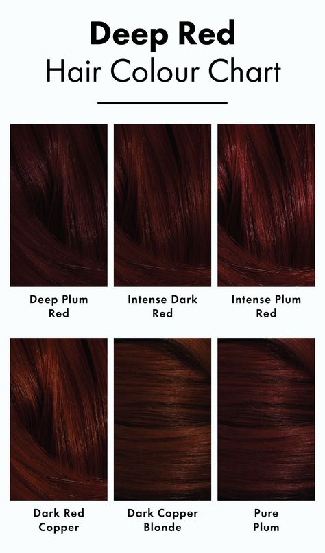 Expensive Red Hair Color, Reb Brown Hair, Darkest Red Hair Color, Red Color On Brown Hair, Cool Winter Red Hair, Red Hair For Deep Winter, True Autumn Red Hair, Intense Dark Red Hair, Cute Hair Colors For Brunettes Dyes