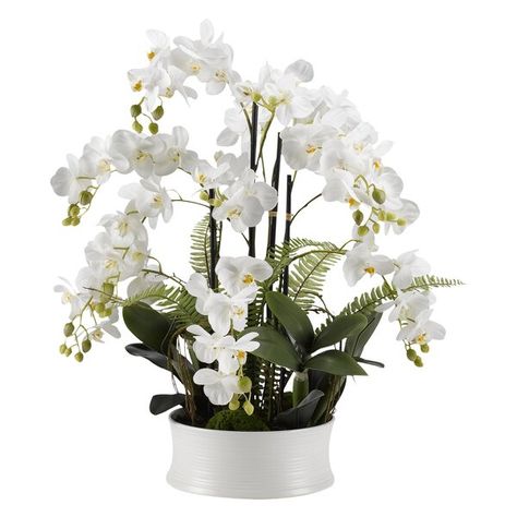 Orchids White, Orchid Leaves, Flowering Succulents, Orchid Centerpieces, Silk Orchids, Hydrangea Arrangements, Outdoor Remodel, Artificial Orchids, Faux Floral Arrangement