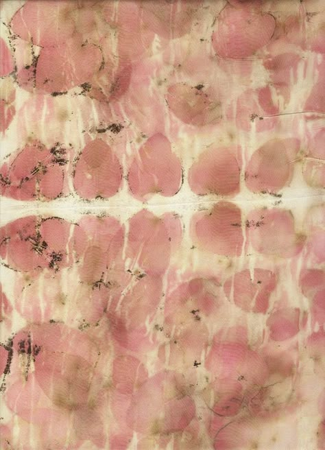 eco print silk eucalyptus | por carolbsloan Eco Print Fabric, Eco Printing Fabric, Natural Prints, Eco Dyeing Fabric, Eucalyptus Print, Print Textiles, Eco Textile, Natural Print, Eco Art