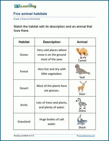 Animals worksheets - reviewing how animals live, what they eat, their habitats and adaptations, their anatomy, coverings and classification and their life cycles. Free | Printable | Grade 2 | Science | Worksheets Habitats 2nd Grade, Animal Adaptations Worksheet, Where Do Animals Live Worksheet, Animal Habitat Worksheet, Preschool Habitats, Grade 2 Science Worksheets, Habitat Worksheet, Teaching Habitats, Animal Classification Worksheet