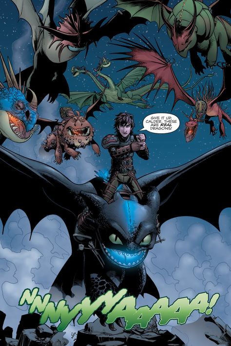 HTTYD comic 11 Dragons Riders Of Berk, Dragon Comic, Httyd Art, Hiccup And Toothless, Dreamworks Dragons, Httyd Dragons, Dragon Images, Dragon Trainer, Dragon 2