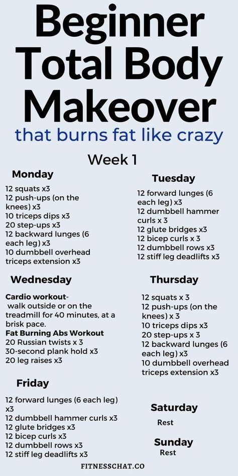 Total Body Makeover, Quick Full Body Workout, Fitness Studio Training, Body Makeover, Body Workout Plan, At Home Workout Plan, Weight Workout Plan, Workout Routines, Fitness Workout For Women