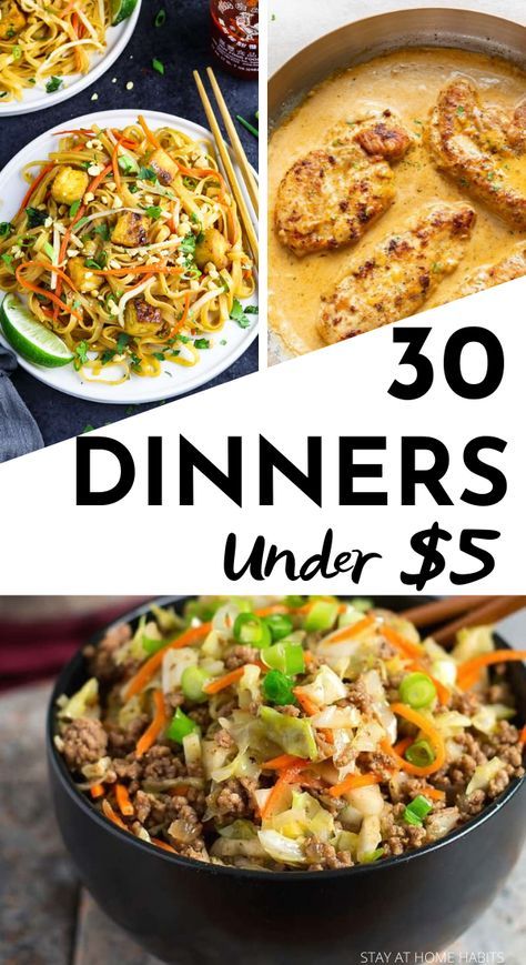 Cheap Family Dinners, Cheap Healthy Dinners, Cheap Meal Plans, Cheap Family Meals, Meal Planning Menus, Cheap Easy Meals, Cheap Healthy, Dinner On A Budget, Inexpensive Meals