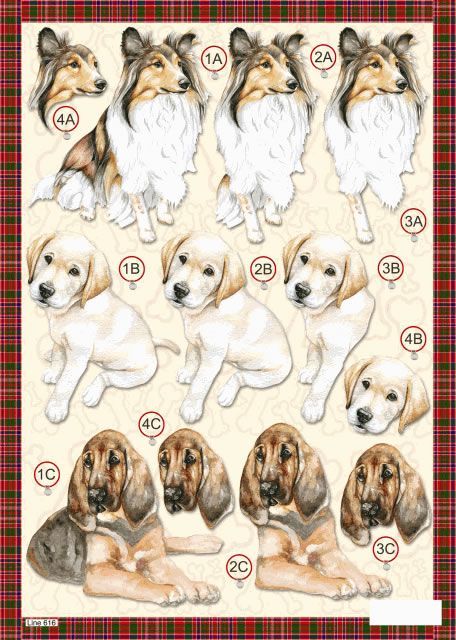 Cardmaking Printables, Decoupage Printables, 3d Sheets, Felt Animal Patterns, Dog Died, Stitching Cards, 3d Decoupage, Dog Cuts, Image 3d