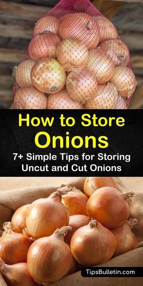 Storing onions and potatoes on counter together will shorten their shelf life. Learn how to store onions from garden long term and cut onions in fridge. You can also store cooked onions in the freezer for future meals. #storingonions #storeonions #preserveonions Storing Onions And Potatoes, Store Onions, Storing Onions, Cellar Ideas, Onion Storage, Storing Vegetables, Storing Fruit, How To Store Potatoes, Canning Food Preservation