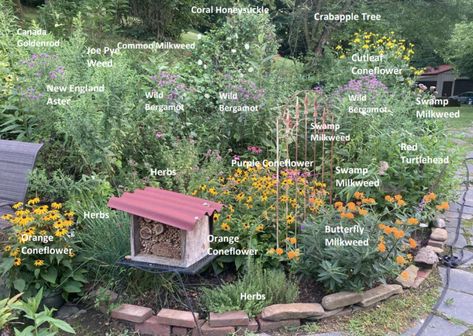 Pollinator Habitat Certification - The Center for Pollinator Research Pollinator Garden Design Ideas, Pollinator Garden Layout, Pollinator Garden Plans, Pollinator Habitat, Pollinator Garden Design, Grow House, Swamp Milkweed, Crabapple Tree, Agricultural Science