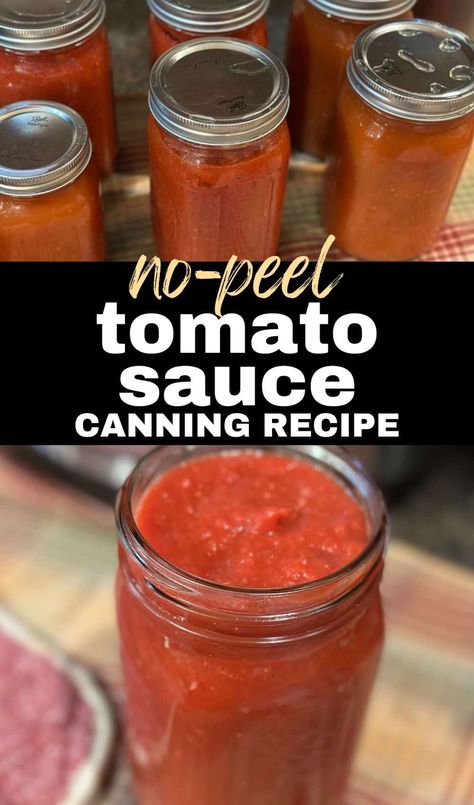 Canning Tomato Sauce (with skins and seeds): How-to Guide - Heritage revived Salsa With Canned Tomatoes, Canned Salsa Recipes, Restaurant Salsa, Salsa Canning Recipes, Water Bath Canning Recipes, Can Tomato Sauce, Fresh Eating, Easy Canning, Canning Salsa