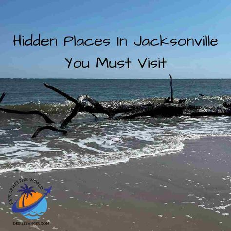 Hidden Places In Jacksonville Florida You Must Visit: https://denisesanger.com/hidden-places-in-jacksonville/ #jacksonville #visitjacksonville #florida #jaxbeaches Things To Do In Jacksonville Florida, Best Florida Vacations, Amelia Island Florida, Florida Adventures, Florida Lifestyle, Jacksonville Beach, Pretty Beach, Hidden Places, Beach Vacations