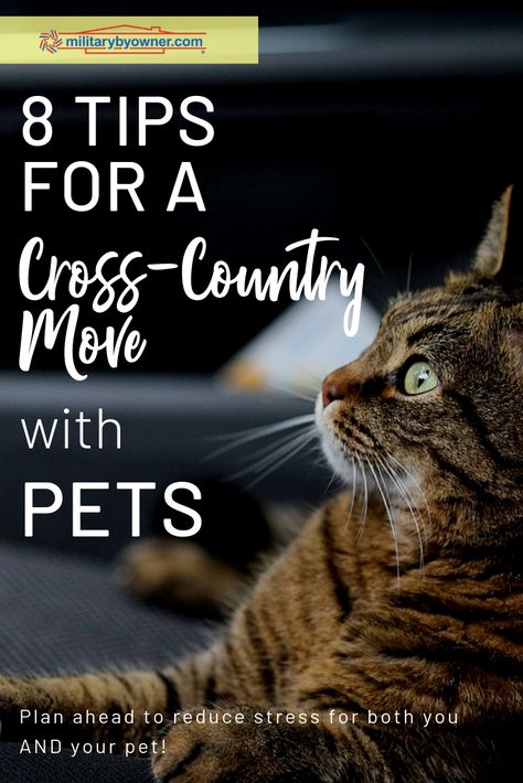 Cross Country Move With Pets, Moving Cross Country With Pets, Cross Country Move Checklist, Cross Country Moving Tips, Moving Across Country Tips, Kansas Farmhouse, Moving With Pets, Driving Across Country, Philadelphia Apartment