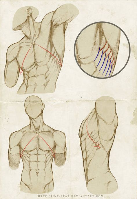 Human Anatomy Drawing, Human Figure Drawing, Human Anatomy Art, Anatomy Sketches, Drawing Faces, Hand Reference, Body Reference Drawing, 캐릭터 드로잉, Different Angles