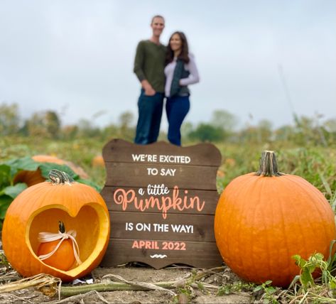 Pumpkin carving, announcement, pumpkin patch, a little pumpkin is on the way Baby Pumpkin Announcement, Pumpkin Birth Announcement, Baby Announcement Pumpkin Patch, Pumpkin Baby Announcement With Sibling, Pumpkin Patch Announcement Pregnancy, Pumpkin Patch Pregnancy Pictures, Pumpkin Patch Baby Announcement, Pumpkin Patch Maternity Pictures, Pumpkin Patch Pregnancy Announcement