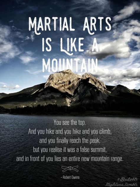 40 Inspirational Martial Art Quotes You Must Read Right Now - Bored Art Karate Quotes, Arts Quotes, Judo Karate, Martial Arts Quotes, Trening Sztuk Walki, Shotokan Karate, Karate Martial Arts, Martial Arts Techniques, Pencak Silat