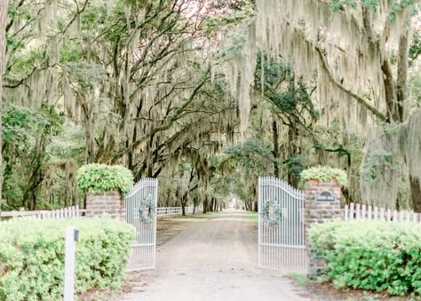 Find South Carolina Wedding Venues SC Wedding Venues In South Carolina, Low Country Wedding South Carolina, South Carolina Wedding Venues, Charleston Aesthetic, Carolina Wedding Venues, Free Wedding Venues, European Wedding Venue, Wedding Venues South Carolina, Coastal Wedding Venues