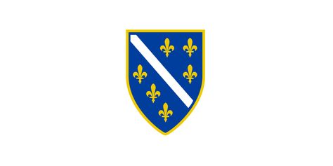 Bosnian flag Bosnian Flag, Bosnia Flag, Bosna I Hercegovina, Herzegovina Flag, Patriotic Symbols, Flag Tattoo, Modern Library, Flag Art, National Football Teams