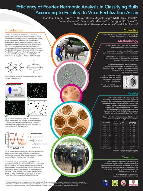 Scientific Research Poster Design Layout, Research Poster Design Layout Ideas, Research Poster Design Layout, Scientific Poster Template Powerpoint, Powerpoint Poster Template, Scientific Poster Design, Academic Poster, Poster Presentation, Conference Poster