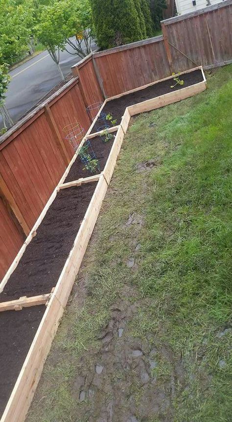 Small Garden Inspiration, Backyard Garden Beds, Backyard Vegetable Gardens, Small Backyard Gardens, Diy Backyard Landscaping, Front House Landscaping, Garden Yard Ideas, Backyard Garden Design, Vegetable Garden Design